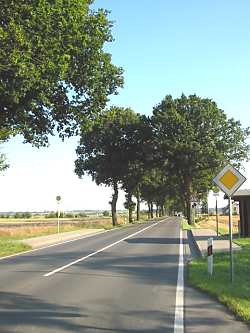 typische kandstraße in Mecklenburg-Vorpommern